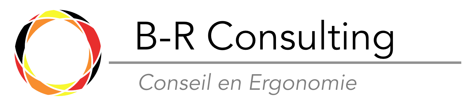 BR Consulting Services